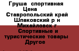 Груша  спортивная › Цена ­ 800 - Ставропольский край, Шпаковский р-н, Михайловск г. Спортивные и туристические товары » Другое   